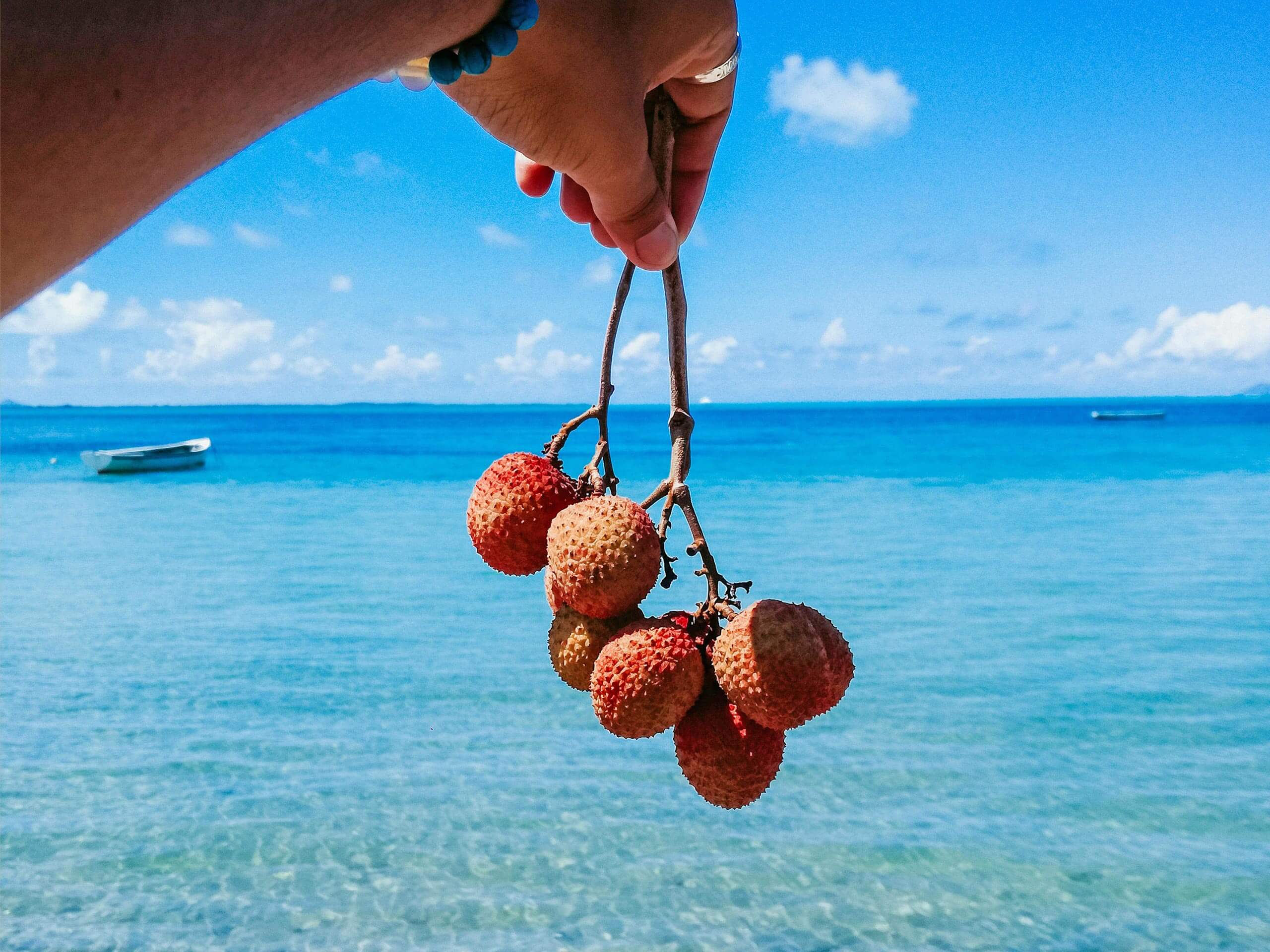 Flitterwochen Mauritius Essen-Litschi