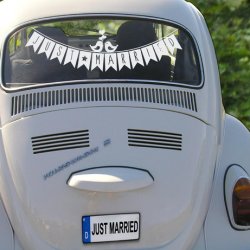 Hochzeitsauto Aufkleber Just Married Schriftzug